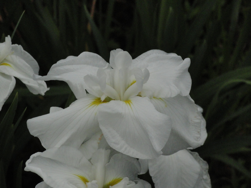 img0028.jpg