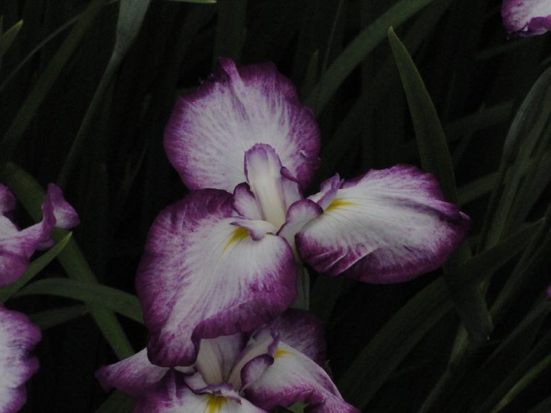 img0034.jpg