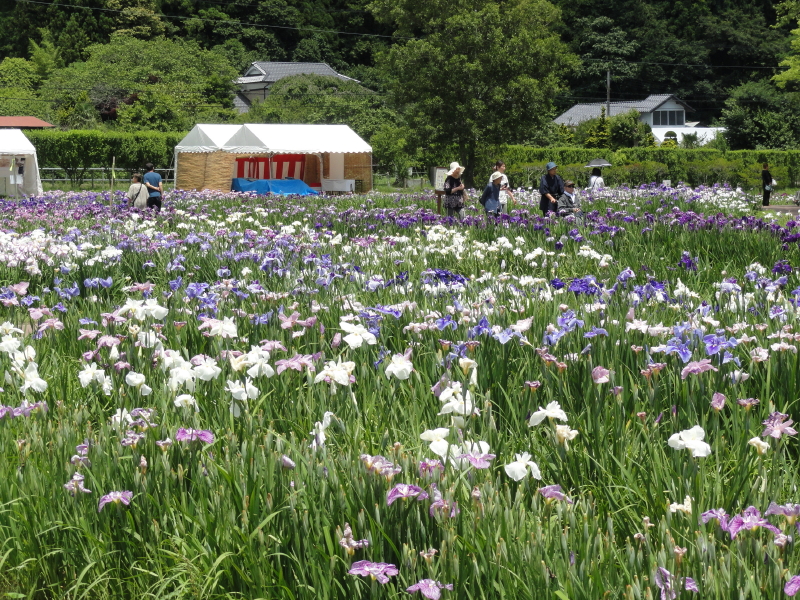 img0055.jpg