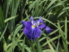 img0002.jpg