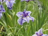img0024.jpg