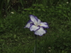img0026.jpg