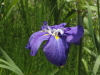 img0037.jpg