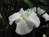 img0040.jpg