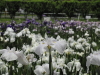 img0045.jpg