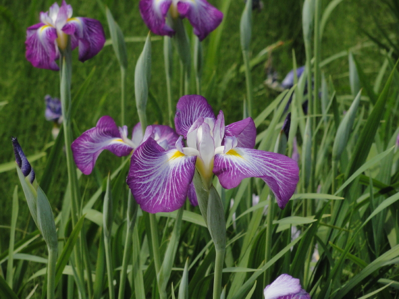 img0024.jpg