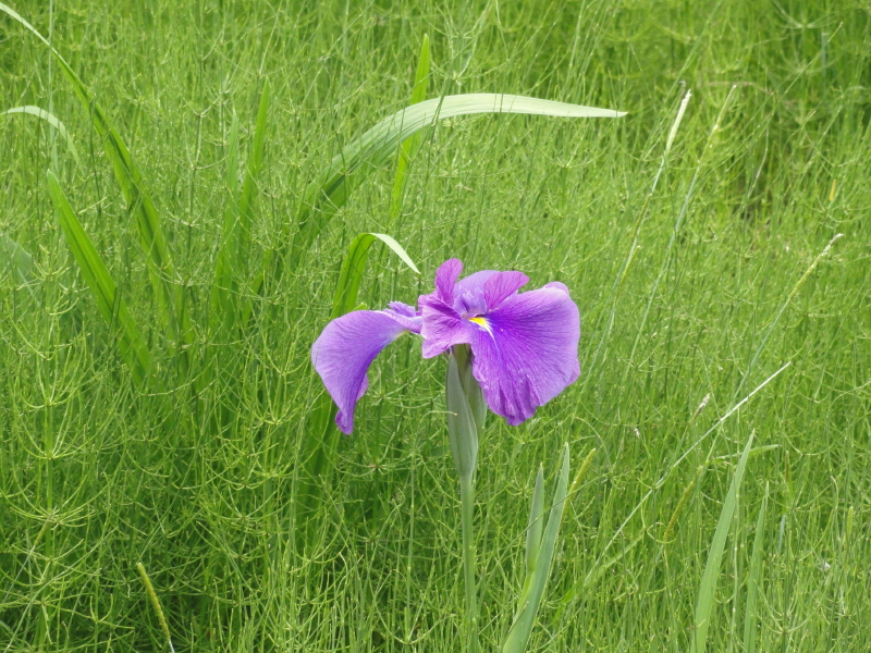 img0073.jpg