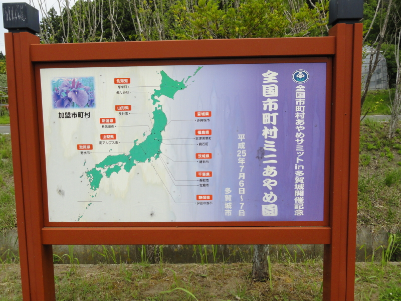 img0081.jpg