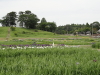 img0002.jpg