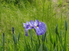 img0017.jpg