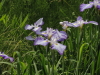 img0021.jpg