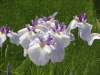 img0027.jpg