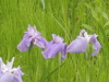 img0044.jpg