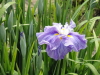 img0046.jpg