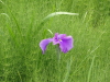 img0073.jpg