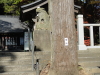 img0003.jpg
