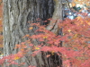 img0016.jpg