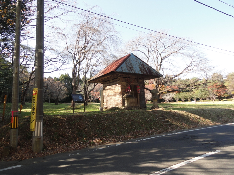 img0019.jpg