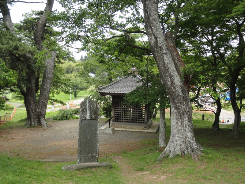 img0002.jpg