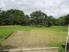 img0003.jpg