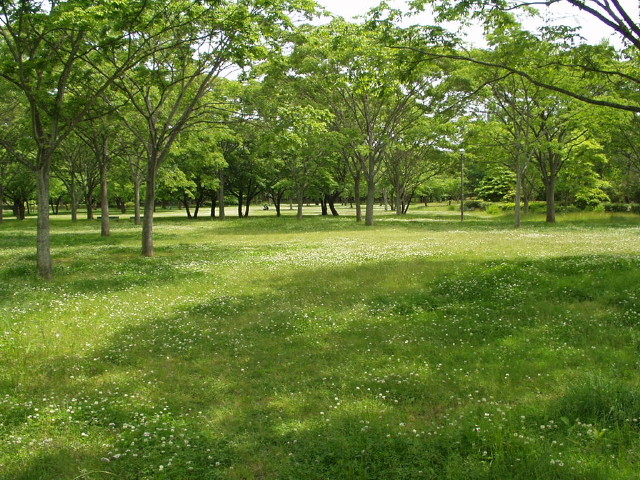img0000.jpg