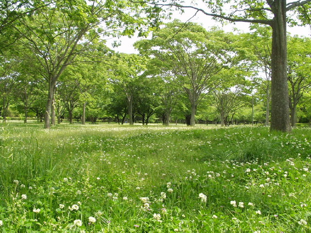 img0001.jpg
