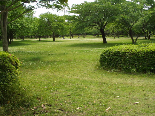 img0002.jpg