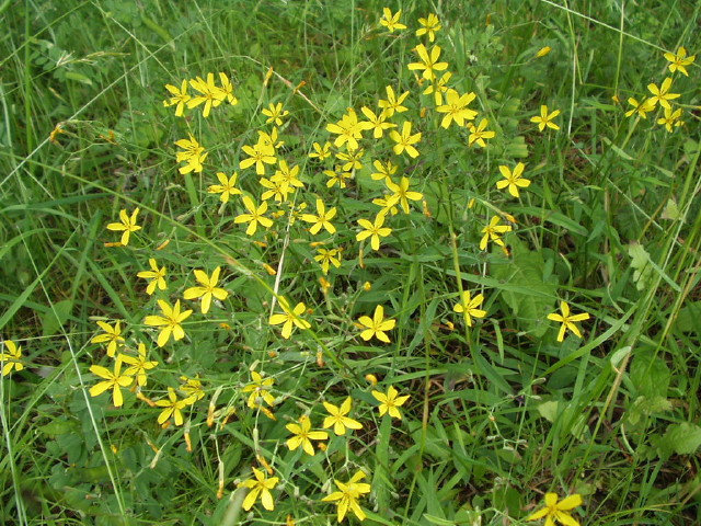 img0003.jpg