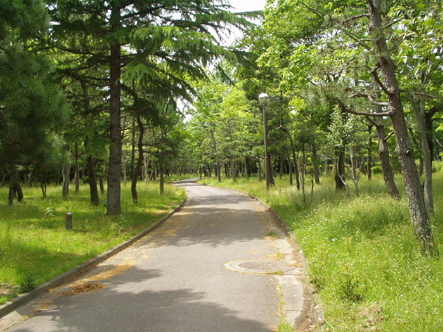 img0004.jpg