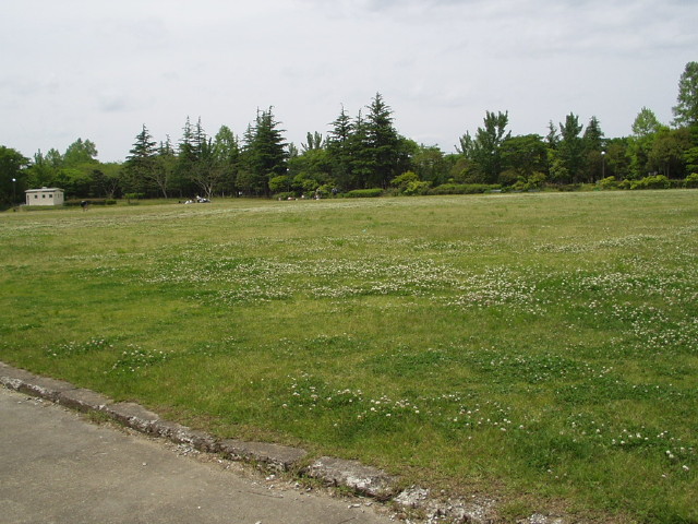 img0005.jpg