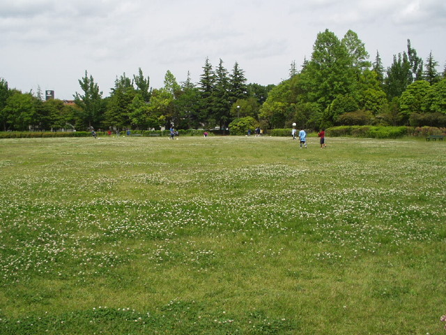 img0006.jpg