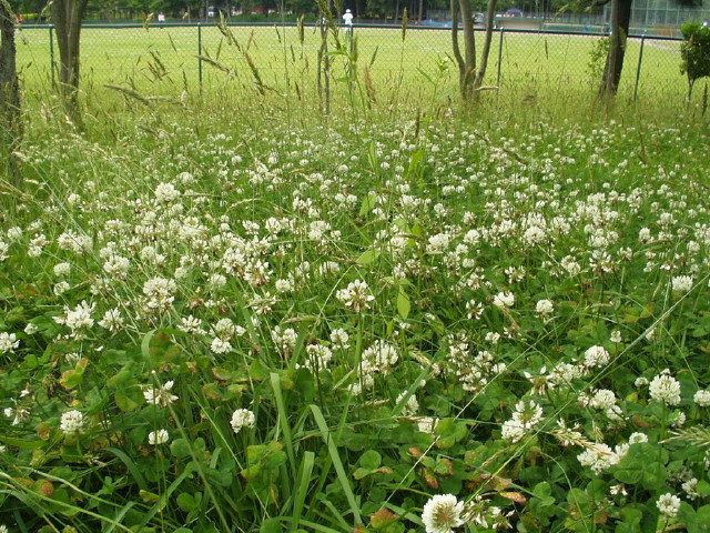 img0007.jpg
