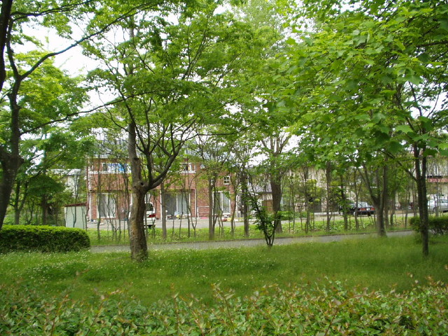 img0008.jpg