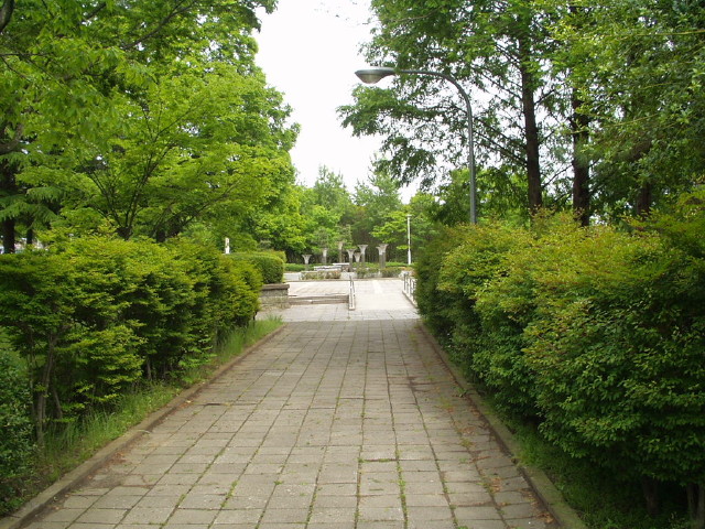 img0009.jpg
