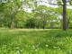img0001.jpg