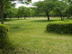 img0002.jpg