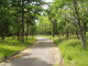 img0004.jpg