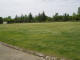 img0005.jpg