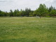 img0006.jpg