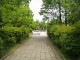 img0009.jpg