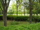img0011.jpg