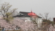 img0001.jpg