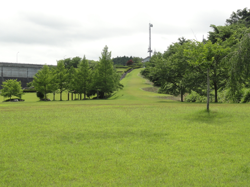 img0031.jpg