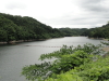 img0008.jpg