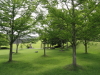 img0033.jpg