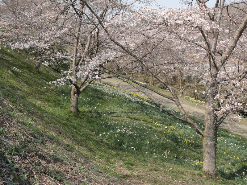 img0003.jpg
