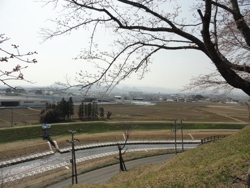 img0010.jpg