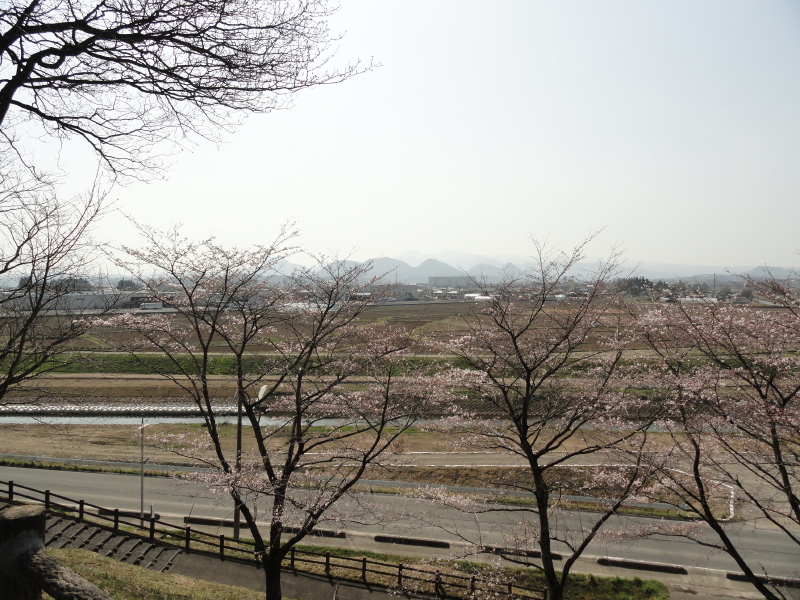 img0016.jpg