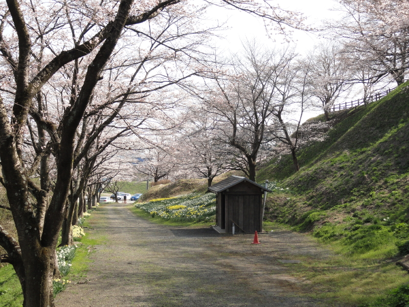 img0023.jpg