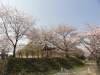 img0000.jpg